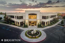 Brighton Corporation