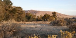 Homes in Boise ID at Cartwright Ranch