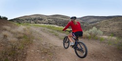 Homes in Boise ID at Cartwright Ranch